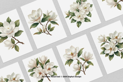 15 Bundle Watercolor Magnolia Floral White Flower Botanical Product Image 3