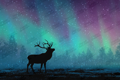 Deer Silhouette Under Northern Lights Background for Crafts Product Image 1