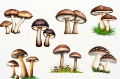 Vintage Watercolor Mushrooms, Junk Journal Mushroom Product Image 3