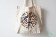 250th America Anniversary Bundle Product Image 3