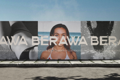 Barviera Font Duo Product Image 3
