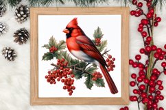 Christmas Cardinal Watercolor Clipart, Christmas Cardinal Product Image 3