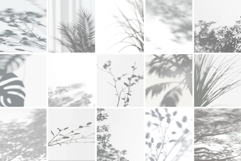 Plant Shadow Backdrops Video Bundle Product Image 3