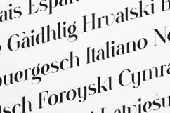 VSOP Cursive Elegant Serif Typeface Product Image 3