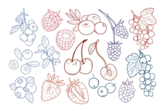 Berry Clipart SVG PNG, Seamless Fruit Patterns Product Image 3