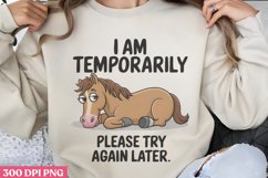 I Am Temporarily PNG, Funny Sarcastic Sublimation Product Image 1