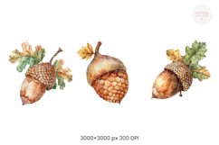 Pine Cones Product Image 3