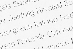 Sirenik Serif Elegant Modern Decorative Typeface Product Image 3