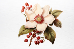Christmas Flower Bouquet Clipart PNG Product Image 3