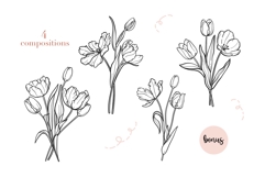 Tulip Line Art, Botanical Clipart SVG &amp; PNG Product Image 4