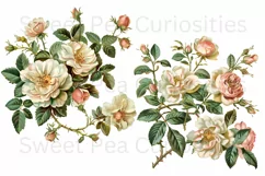 Flowers, Junk Journal, PNG, Clipart, Ephemera, Botanical Product Image 3