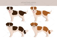 Kromfohrlander clipart Product Image 3