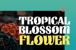 Glories Product Image 3