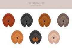 Tibetan Mastiff clipart Product Image 4