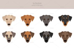 Sloughi clipart Product Image 5