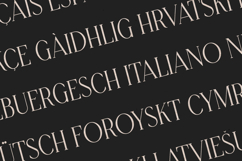 Grace Elegant Modern Serif Font Product Image 3