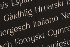 Rowan Cursive Elegant Serif Font with Italic Style Product Image 3