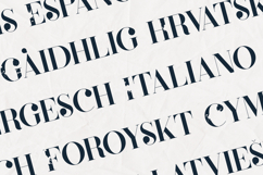 Defect Distressed Vintage Serif Font Product Image 4