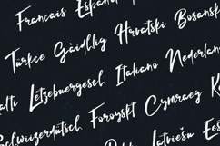 Lelushka Modern Handwritten Script Font Product Image 3