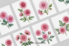 15 Bundle Watercolor Pink Dahlias Flower Soft Floral Decor Product Image 3
