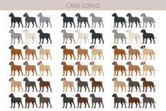 Cane Corso dog clip art Product Image 3