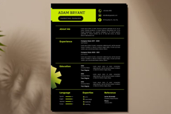 31 Vibrant Simple Resume - Canva Product Image 3