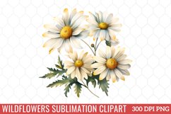 Wildflowers Sublimation Clipart Bundle Product Image 4