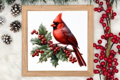 Christmas Cardinal Watercolor Clipart, Christmas Cardinal Product Image 3