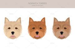 Norwich Terrier clipart Product Image 5