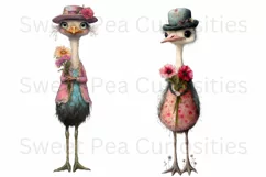 Birds, Ostrich, Ephemera, PNG, watercolor, Clipart Product Image 3