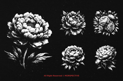10 Bundle Dark Art Peony Flower Garden Floral Peonies Product Image 5