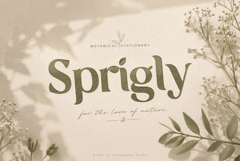 Ekainos Font: Nature-Inspired Botanical Serif Font Product Image 6