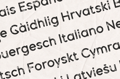 Dense Rough Edition Distressed Vintage Product Image 3