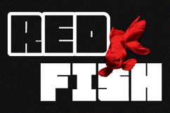 Blog Cube - Bold Strong Font Product Image 3