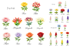 134 Watercolor Birth Month Flowers PNG Bundle Product Image 3