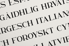 Kavo Elegant Classic Serif Font Product Image 3