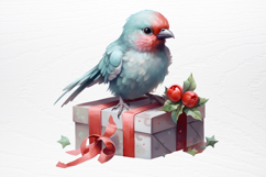 Chirstmas Birds Clipart PNG Product Image 3