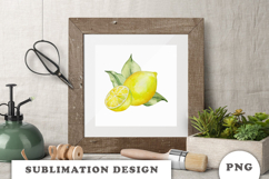 Watercolor Lemons composition png Product Image 3