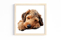 Cute Sleeping Dogs Clipart Product Image 3