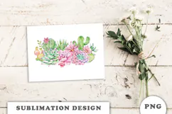 Watercolor Cactus and Succulents sublimation PNG Product Image 3