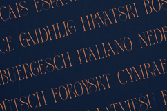 Thorn Tale Echo Edition Luxury Modern Serif Font Product Image 3