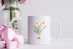 Spring flowers. Narcissus cliparts Product Image 3