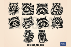 Raccoon Vector Design Bundle Product Image 3