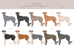 Longdog. Greyhound/Sighthound mix Product Image 2