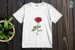 Red Rose Botanical Illustration Clipart Sublimation PNG Product Image 2