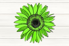 Sunflower Sublimation Design bundle | Print with flower, PNG Product Image 3