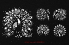 10 Bundle Dark Art Peacock Bird Beautiful Poultry Tattoo Product Image 5