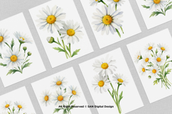15 Bundle Watercolor Daisy Flower White Floral Chamomile Product Image 3