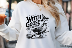 WITCH GOOSE ON THE LOOSE PNG, Vintage Silly Goose Sublimatio Product Image 3