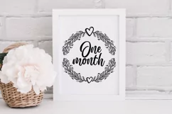 Months SVG, 1 2 3 4 5 6 7 8 9 10 11 12 month SVG Product Image 2